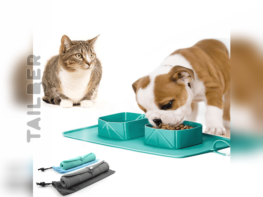 Travel Pet Bowl